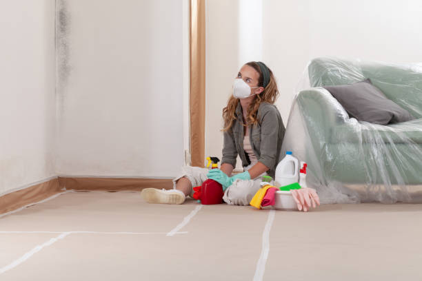 Reliable Mold Remediation contractor in Moonachie, NJ by Cheap Mold Removal
